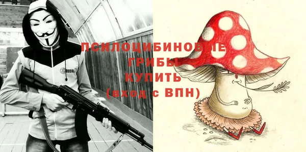 индика Белоозёрский