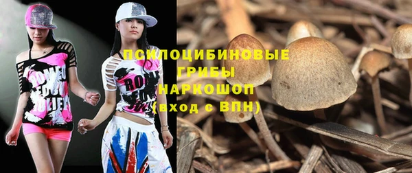 бошки Балахна