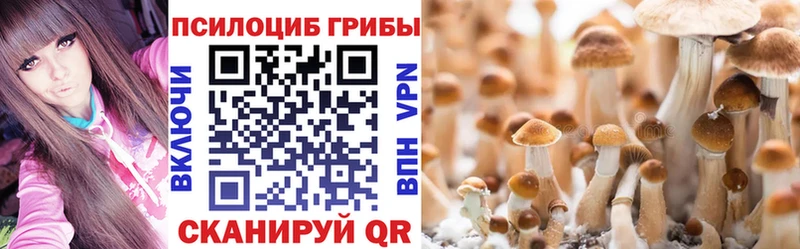 Псилоцибиновые грибы ЛСД  Губкинский 